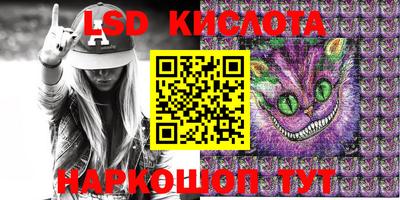 шишки Обнинск