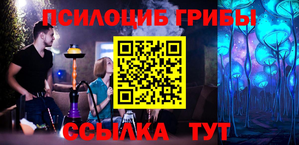 Галлюциногенные грибы прущие грибы  Вход с VPN  Гудермес 